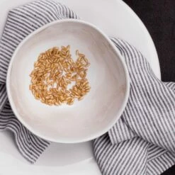 Brand new ✔️ VIETRI Aurora Snow Cereal Bowl ✨ -Tabletop Elegant shop AOR S1105 2100 web3