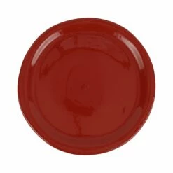 New 🛒 VIETRI Cucina Fresca Paprika Dinner Plate 🌟