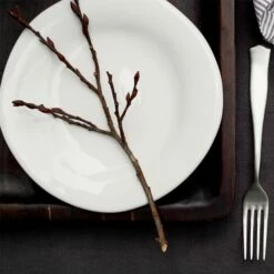 Promo 🤩 VIETRI Forma Cloud Dinner Plate 👏 -Tabletop Elegant shop FOM 1100CL LSALT 1