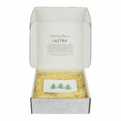 Hot Sale ⭐ VIETRI Lastra Holiday Small Rectangular Tray 🤩