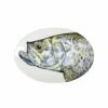 Deals 🎁 VIETRI Pesca Tarpoon Shallow Oval Bowl ✔️