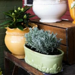Cheapest ⌛ VIETRI Rustic Garden Pistachio Basil Oval Planter 💯 -Tabletop Elegant shop RGA 7786P 2100 web2