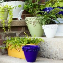 Outlet 🔥 VIETRI Rustic Garden Small Cachepot 🎉 -Tabletop Elegant shop RGA 7792W 3