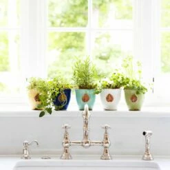 Budget 👏 VIETRI Rustic Garden White Small Cachepot with Leaf 🎁 -Tabletop Elegant shop RGA 89087W LSALT 1