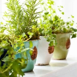 Budget 👏 VIETRI Rustic Garden White Small Cachepot with Leaf 🎁 -Tabletop Elegant shop RGA 89087W LSALT 2