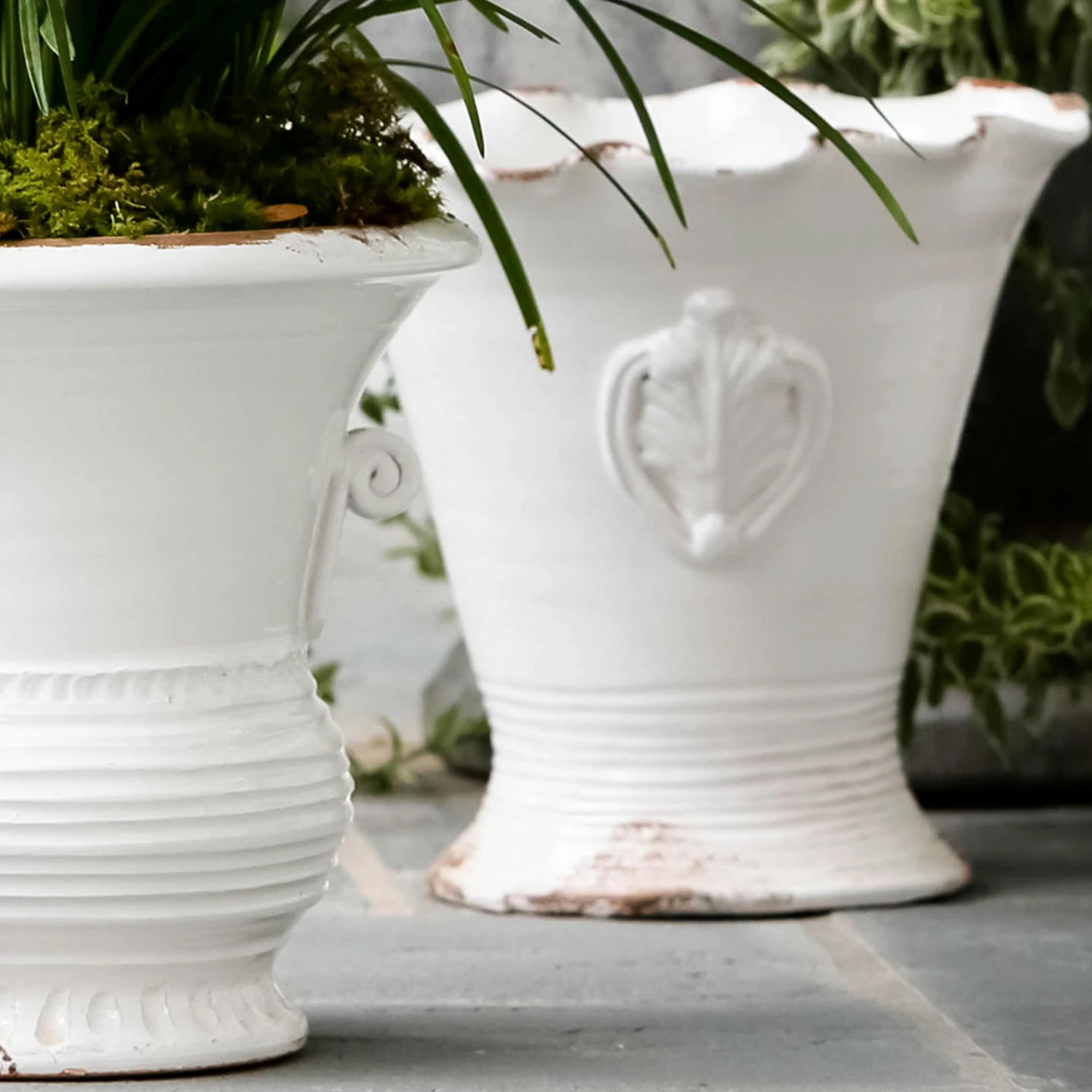 Deals โ๏ธ VIETRI Rustic Garden White Medium Flair Planter ๐ 2 Deals โ๏ธ VIETRI Rustic Garden White Medium Flair Planter ๐ - Image 2