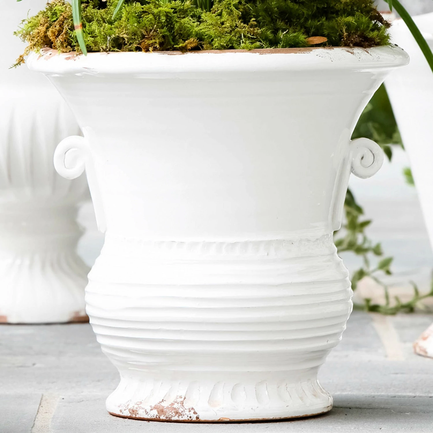 Deals โ๏ธ VIETRI Rustic Garden White Medium Flair Planter ๐ 3 Deals โ๏ธ VIETRI Rustic Garden White Medium Flair Planter ๐ - Image 3