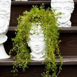 Coupon 👏 VIETRI Sicilian Heads White Small Queen Head 👏 -Tabletop Elegant shop SCY 9100WQ 2100 web3