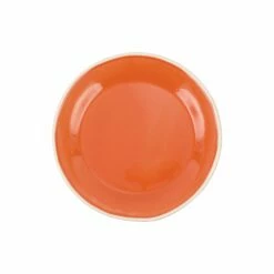 Top 10 😉 Viva by VIETRI Chroma Coral Salad Plate ❤️