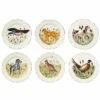 Brand new 👏 VIETRI Wildlife Assorted Dinner Plates - Set of 6 🤩